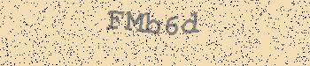 An error has occurred while getting captcha image